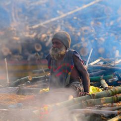 TRENWO (A World of Trends)